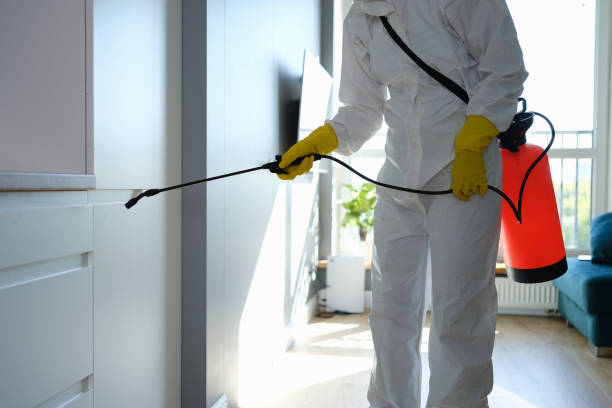 Best Mold Damage Repair  in Canastota, NY