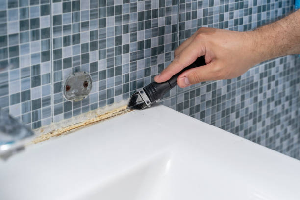 Best Emergency Mold Removal  in Canastota, NY
