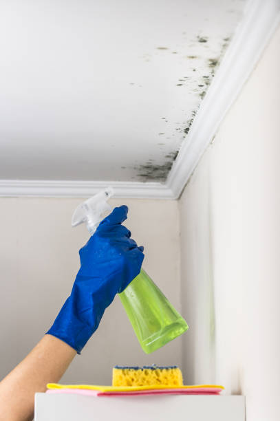 Best Residential Mold Removal  in Canastota, NY