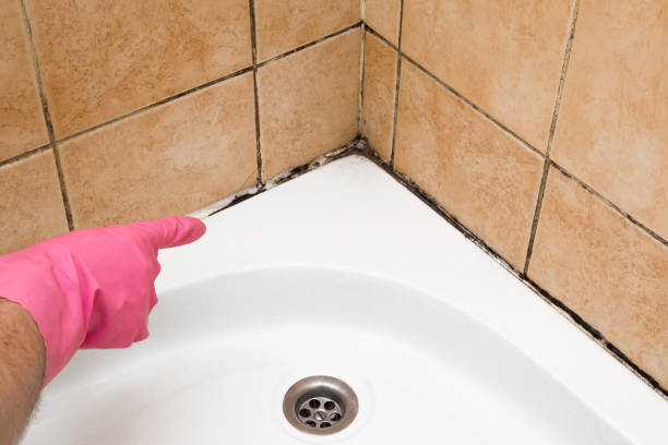 Best Mold Testing  in Canastota, NY